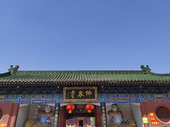 -中原大佛景区
