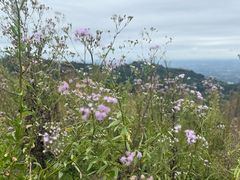 -金堂县云顶石城风景区