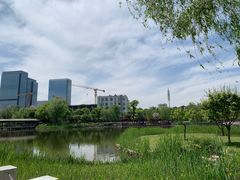 -西海子公园