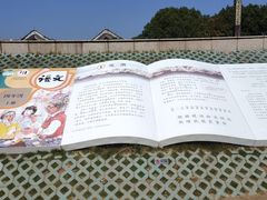-观潮胜地公园