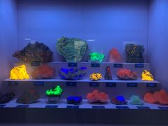 -湖南省地质博物馆