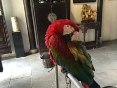 iphone_upload_pic-朱家角课植园