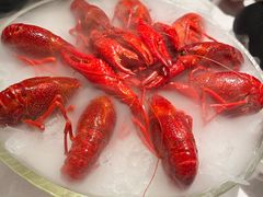 -红盔甲·小龙虾(天钥桥店)