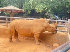 -昆明动物园