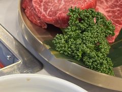 -黄金牧场(明洞总店)