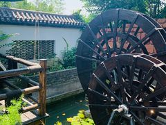 -慢丽江·云南野生菌土鸡锅(西山店)