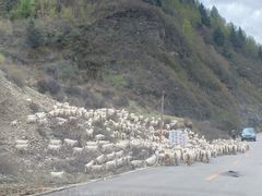 -雁门关景区