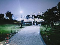 -小麦岛公园