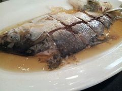 清蒸鲥鱼-福1039(愚园路店)