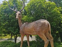 -溱湖国家湿地公园