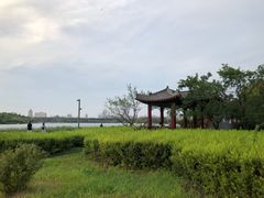 -长春市南湖公园