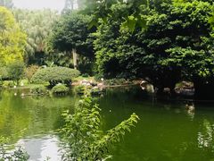 -九龙公园