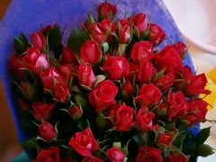 -双季花艺园艺市场(浦东店)