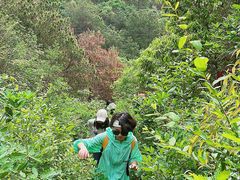 -青龙山国家森林公园