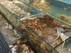 -仙螺岛海鲜自助餐厅(总店)