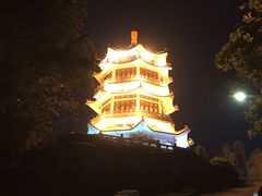 -紫马岭公园