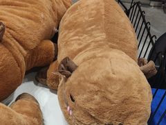 -BIGOFFS 超级折扣(仁恒伊势丹店)