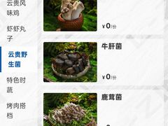 -金鹰国际购物中心(江都店)