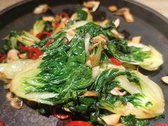 焗锅气奶白菜-小大董·烤鸭(凤凰汇店)