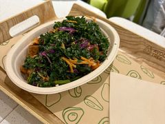 -油梨树 AVOCADO TREE(亮马桥店)