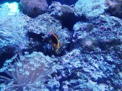 -成都浩海立方海洋公园