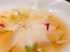-觀芷隐轩