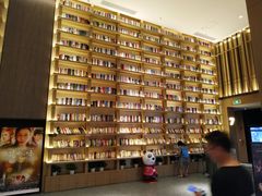 -深影国际影城(学院南路店CGS中国巨幕店)