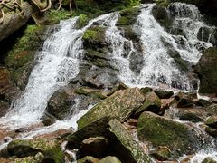 -五女峰国家森林公园