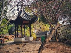 -北寺塔