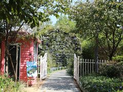 -福建鲤鱼洲酒店