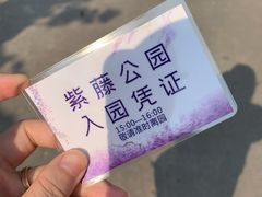 -嘉定紫藤园