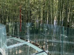 -竹泉村旅游度假区