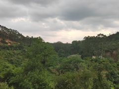 -象头山国家级自然保护区