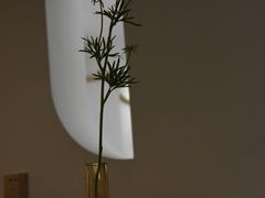 -树咖啡tree coffee