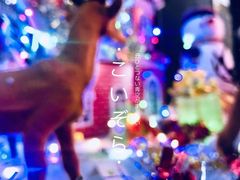 -星汇纯K量贩式KTV(卜蜂中心店)