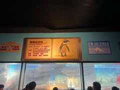 -海合安武汉极地海洋公园