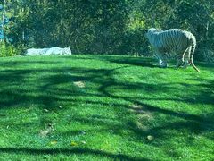 -北京野生动物园