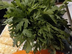 -润园四季椰子鸡火锅(南山海岸城店)