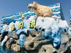 -华夏文旅海洋公园