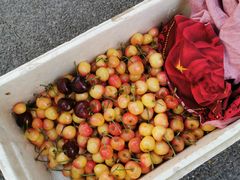 -安琳acKONA咖啡(市南店)