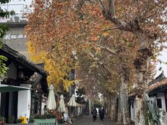 -渝绝回味碗土家洋芋饭(学道街店)