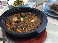 -天天鱼港·海鲜·鲅鱼水饺·招牌烤鸭(黄骅店)