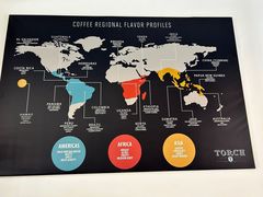 -Torch Coffee 炬点咖啡