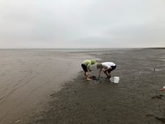 -芦潮港集贸市场