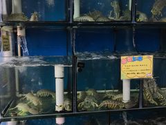 -蚝专家(北滘店)