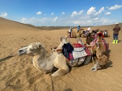 -银肯塔拉沙漠生态旅游景区