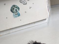 -谐和益家动物医院·免疫绝育·血液透析·宠保定点医院(高新伊藤分院)