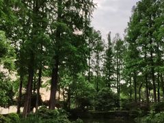 -浙江西子宾馆·瑶园咖啡厅