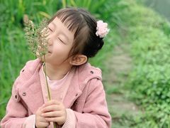 -两河城市森林公园