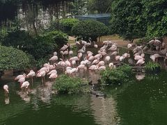 -九龙公园